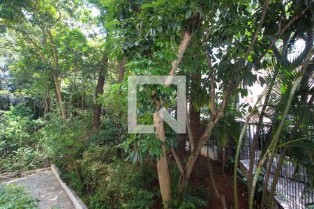 Vista da Varanda da Sala de apartamento para alugar com 3 quartos, 90m² em Vila Progredior, São Paulo