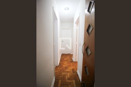 Corredor de apartamento para alugar com 3 quartos, 90m² em Vila Progredior, São Paulo