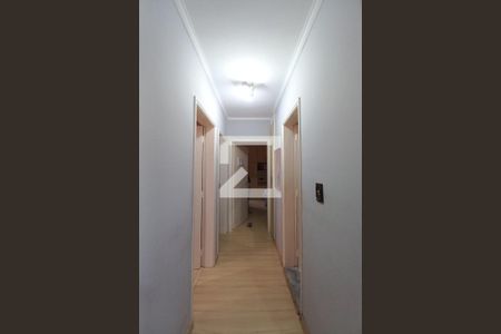 Corredor  de apartamento à venda com 3 quartos, 78m² em Jardim dos Oliveiras, Campinas