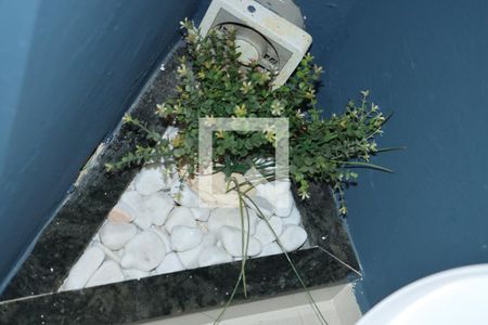 Lavabo de casa de condomínio para alugar com 4 quartos, 380m² em São Paulo Ii, Cotia