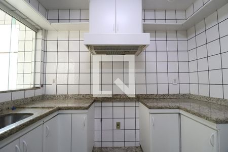 Cozinha de casa para alugar com 4 quartos, 219m² em Vigilato Pereira, Uberlândia