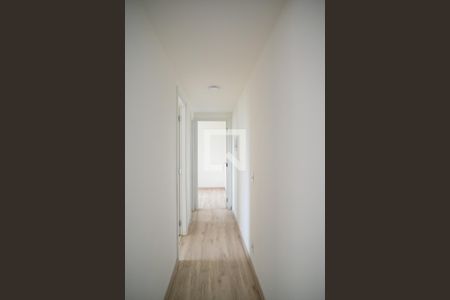Corredor de apartamento para alugar com 2 quartos, 50m² em Jardim Sao Saverio, São Paulo