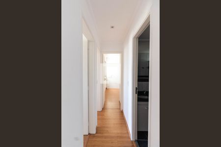 Corredor de apartamento para alugar com 3 quartos, 65m² em Vila Amélia, São Paulo