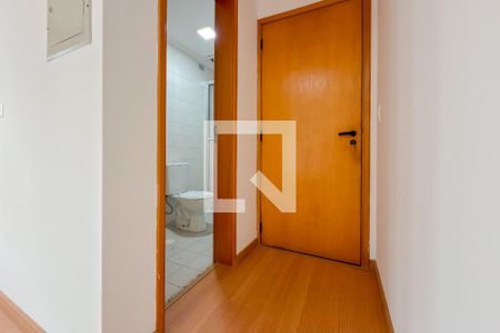 Banheiro de apartamento para alugar com 1 quarto, 29m² em Vila São José, São Paulo