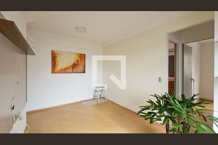 Sala de apartamento para alugar com 2 quartos, 50m² em Jardim Virginia Bianca, São Paulo