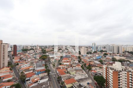 Vista da Varanda da Sala de apartamento à venda com 5 quartos, 440m² em Vila Prudente, São Paulo