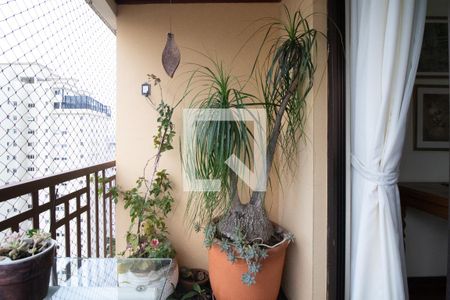 Apartamento à venda com 5 quartos, 181m² em Perdizes, São Paulo