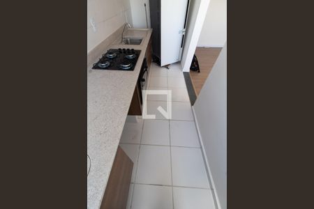 Cozinha de apartamento para alugar com 2 quartos, 46m² em Jardim Boa Esperança, Campinas