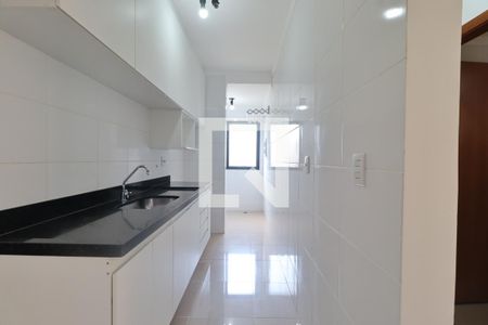 Cozinha de apartamento para alugar com 1 quarto, 45m² em Jardim Botânico, Ribeirão Preto