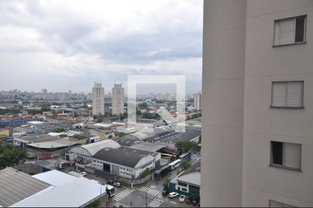Vista do Quarto Suíte de apartamento à venda com 3 quartos, 63m² em Parque Novo Mundo, São Paulo