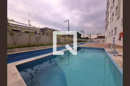 Área comum - Piscina de apartamento à venda com 2 quartos, 37m² em Vila das Bandeiras, Guarulhos