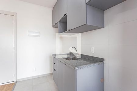 Cozinha de apartamento para alugar com 2 quartos, 42m² em Vila Vermelha, São Paulo