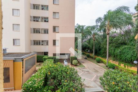 Vista do Quarto 2 de apartamento à venda com 2 quartos, 48m² em Parque Itália, Campinas