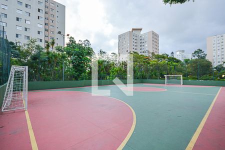 Quadra Esportiva de apartamento para alugar com 3 quartos, 75m² em Vila Constancia, São Paulo