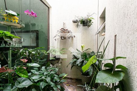 Jardim de Inverno de casa à venda com 3 quartos, 140m² em Penha de França, São Paulo