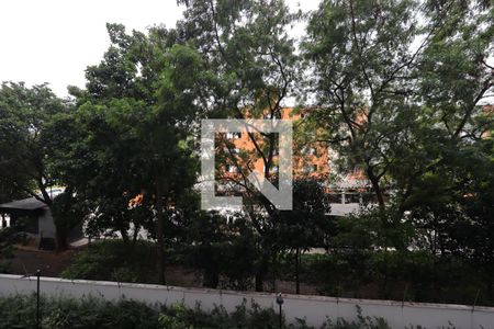 Vista do Quarto 1 de apartamento para alugar com 2 quartos, 35m² em Santa Maria, Santo André