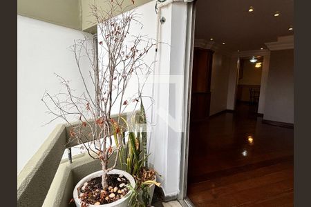 Apartamento à venda com 4 quartos, 167m² em Mirandópolis, São Paulo