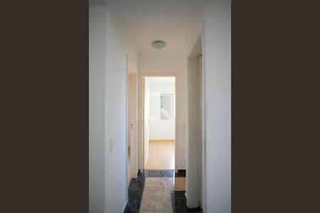 Corredor de apartamento para alugar com 3 quartos, 80m² em Vila Vermelha, São Paulo