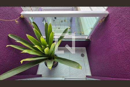 Suíte de casa à venda com 3 quartos, 111m² em Vila Vitória, Santo André