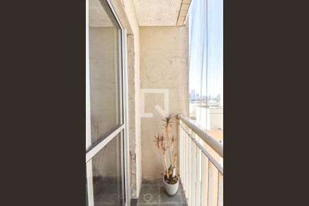 Varanda de apartamento à venda com 3 quartos, 65m² em Cambuci, São Paulo