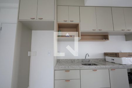 Cozinha de apartamento para alugar com 2 quartos, 60m² em Parque das Nações, Santo André