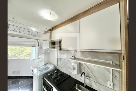 Cozinha de apartamento para alugar com 2 quartos, 48m² em Vila Bela Vista (zona Norte), São Paulo