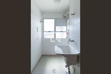 Cozinha e Área de Serviço de apartamento para alugar com 2 quartos, 48m² em Vila Zefira, São Paulo