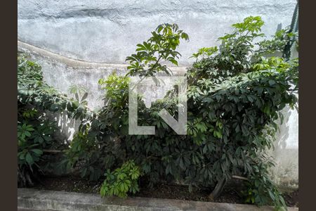 Quarto 1 de casa para alugar com 3 quartos, 207m² em Rolinópolis, São Paulo