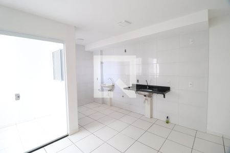 Cozinha de apartamento para alugar com 2 quartos, 52m² em Flamboyant, Uberlândia