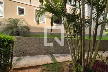 Vista do Quarto 1  de apartamento para alugar com 2 quartos, 50m² em Jardim Marcia, Campinas