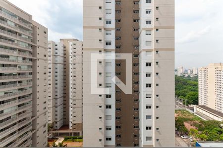 Vista de apartamento à venda com 1 quarto, 47m² em Várzea da Barra Funda, São Paulo