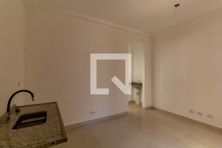 Sala/Cozinha de apartamento à venda com 1 quarto, 33m² em Quinta da Paineira, São Paulo