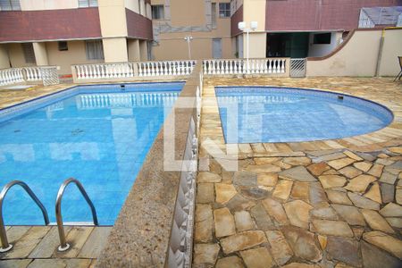 Área Comum -Piscina  de apartamento para alugar com 3 quartos, 70m² em Baeta Neves, São Bernardo do Campo