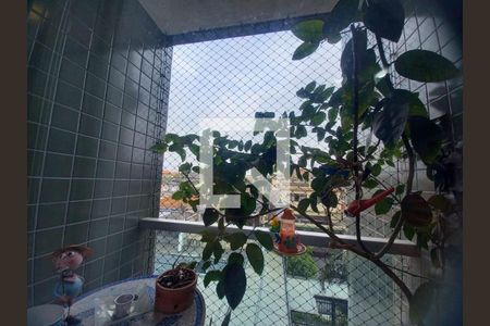 Foto 10 de apartamento à venda com 3 quartos, 67m² em Vila Alpina, São Paulo