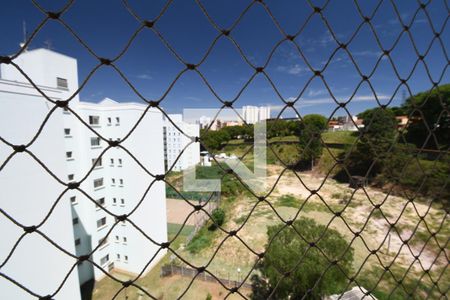 Sala - Vista de apartamento à venda com 3 quartos, 70m² em Vila Nova Teixeira, Campinas