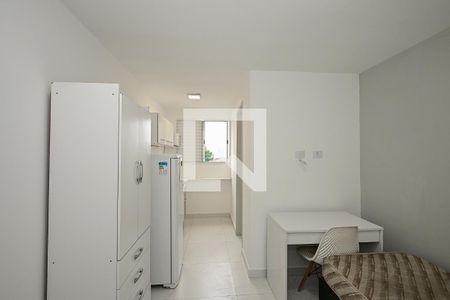 Sala/Quarto de kitnet/studio para alugar com 1 quarto, 24m² em Vila Sonia, São Paulo