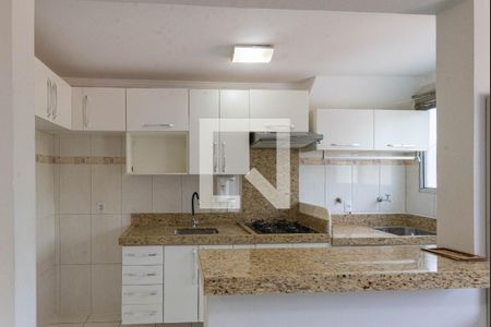 Cozinha de apartamento para alugar com 2 quartos, 45m² em Jardim Nova Europa, Campinas