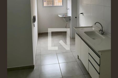Cozinha de apartamento para alugar com 2 quartos, 48m² em Ribeirânia, Ribeirão Preto