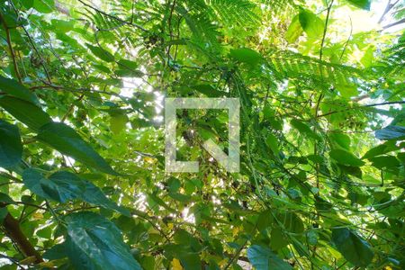 Quarto 2_Vista  de apartamento para alugar com 3 quartos, 77m² em São Sebastião, Porto Alegre