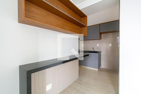 Cozinha de apartamento à venda com 2 quartos, 89m² em Santo Antônio, Belo Horizonte