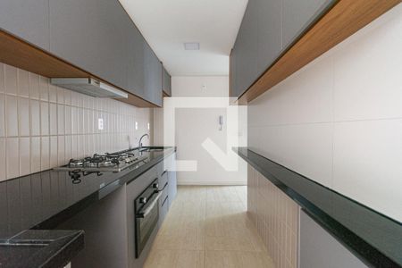 Cozinha de apartamento para alugar com 2 quartos, 89m² em Santo Antônio, Belo Horizonte