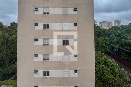 Vista do Suite de apartamento à venda com 3 quartos, 63m² em Vila Moraes, São Paulo