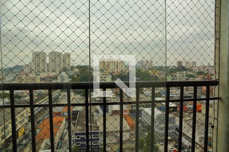 Apartamento à venda com 3 quartos, 65m² em Nova Petrópolis, São Bernardo do Campo