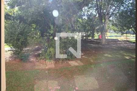 Foto 14 de apartamento à venda com 2 quartos, 62m² em Jardim Pacaembu, Campinas