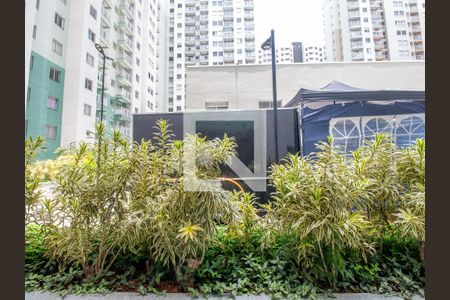 Sala Varanda Vista de apartamento à venda com 2 quartos, 49m² em Santo Cristo, Rio de Janeiro