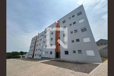 Apartamento para alugar com 3 quartos, 60m² em Rondônia, Novo Hamburgo