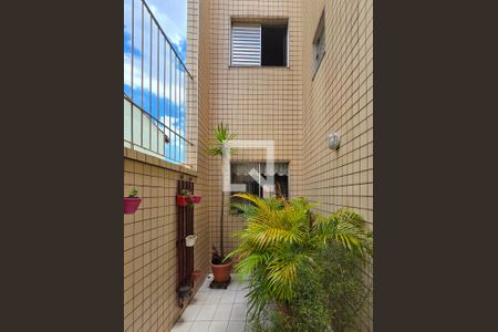 Jardim de inverno  de casa à venda com 3 quartos, 212m² em Nova Petrópolis, São Bernardo do Campo