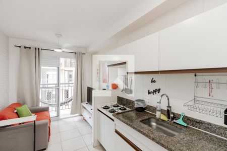 Sala/ Cozinha de apartamento para alugar com 1 quarto, 30m² em Jardim Caravelas, São Paulo