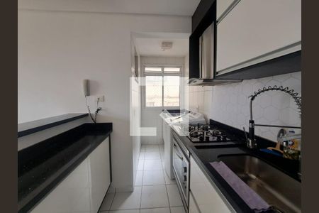Cozinha de apartamento para alugar com 2 quartos, 48m² em Vila Nova Conceicao, Osasco