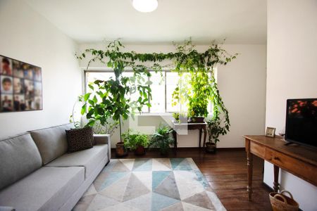 Sala de estar de apartamento para alugar com 3 quartos, 87m² em Cerqueira César, São Paulo